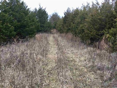 0 Central Pike, Harrodsburg, KY 40330 - photo 2