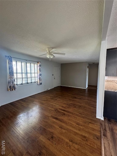 22 N New Madrid St, Benton, MO 63736 - photo 3