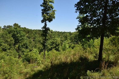 475989 E 750 Rd, Westville, OK 74965 - photo 4