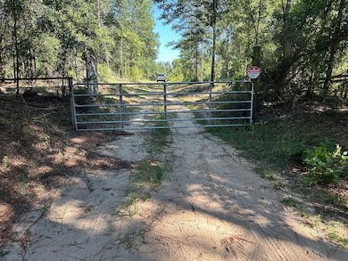 0 Newman Rd unit 22348697, Mobile, AL 36695 - photo 2