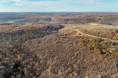 000 Winchester Ct, Tunas, MO 65764 - photo 5