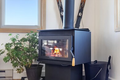 3197 Apres Ski Way unit 2, Steamboat Springs, CO 80487 - photo 5