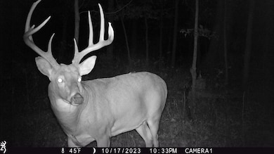 00 Union Grove Rd, Greenville, IL 62246 - photo 2