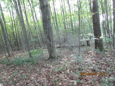 2270 Dobler Rd, Sterling, MI 48659 - photo 4