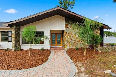 916 River Rapids Ave, Brandon, FL 33511 - photo 6