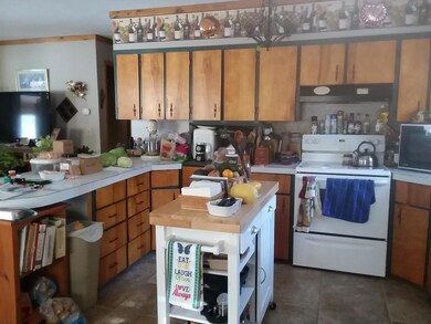 pic4