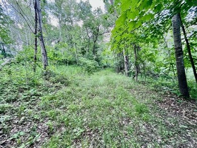 2391 Arrowwood Dr NW, Alexandria, MN 56308 - photo 7