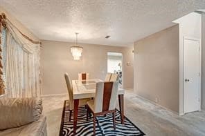 Dining area with a textured ceiling