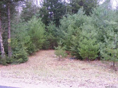 22 Horse Hill Rd, Hadley, NY 12835 - photo 2