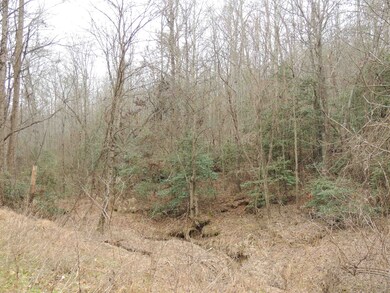 0 Lister Rd, Greer, SC 29651 - photo 4