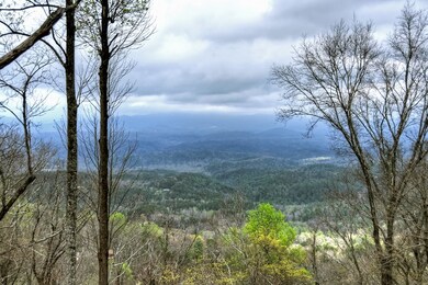 347 Walnut Ridge, Ellijay, GA 30536 - photo 3