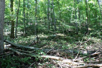 406 Harmony Ln, Burnside, KY 42519 - photo 2