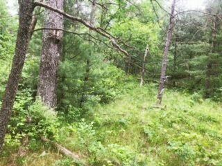 V/L James Rd, Baldwin, MI 49304 - photo 7