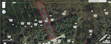 6772 N Hartman Pass, Hernando, FL 34442 - photo 3