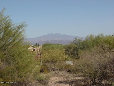 Lush vegetation, level lot, easy access