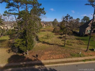 10032 Strike the Gold Ln unit 195, Waxhaw, NC 28173 - photo 2