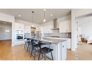 1746 Abundance Dr, Windsor, CO 80550 - photo 3