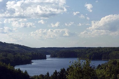 6140 Voyageurs Trail, Biwabik, MN 55708 - photo 3