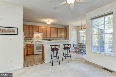 21528 Iredell Terrace, Broadlands, VA 20148 - photo 7