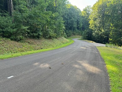 0 Trailwood Dr unit 407720, Ellijay, GA 30536 - photo 4