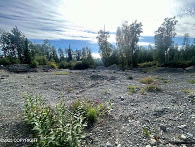 21069 Matsnu Rd, Big Lake, AK 99654 - photo 3