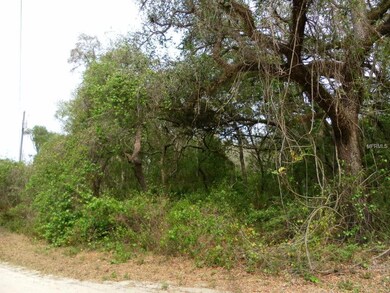 106 Mazie Dr, Zephyrhills, FL 33541 - photo 4