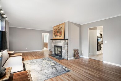 03_DSC09642_mls