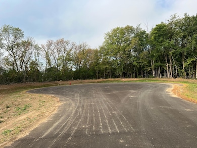 924 8th St SE, Pine Island, MN 55963 - photo 3