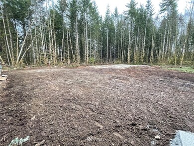 4622 200th St NW, Stanwood, WA 98292 - photo 3