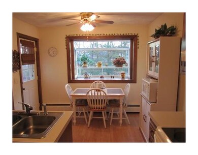 Kitchen. Kitchen window garden
