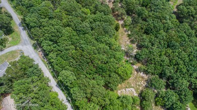 0 Cottontail Ln unit PM-134913, East Stroudsburg, PA 18302 - photo 3