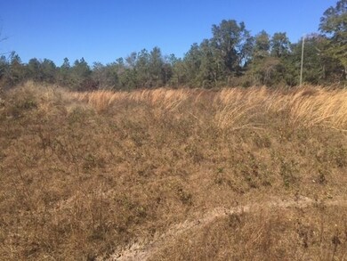 108 Tobacco Sink Rd, Crawfordville, FL 32327 - photo 2