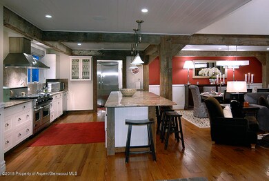 717 W Francis St unit A, Aspen, CO 81611 - photo 2