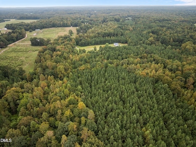 Lot 4 Wolf Tree Way, Efland, NC 27243 - photo 2