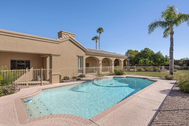 Pool and Patio