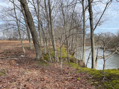 Cr 21 unit lot WP001, Elkins, WV 26241 - photo 3