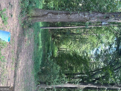 966 Judkin Mill Rd, Cedartown, GA 30125 - photo 3