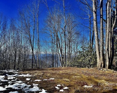 3837 Plott Balsam Rd unit 58, Maggie Valley, NC 28779 - photo 3