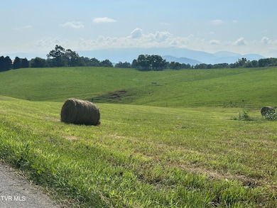 00 W Allens Bridge Rd, Greeneville, TN 37743 - photo 6