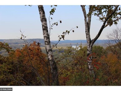 Lot 2 706th St, Pepin Township, MN 55981 - photo 5