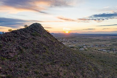 Sonoran Desert at its Finest