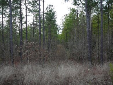 7 Southview Dr, Anderson, SC 29621 - photo 3