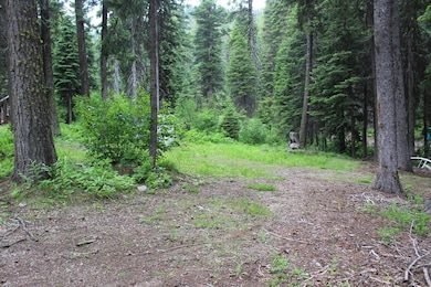 Camp Lot on David Creek