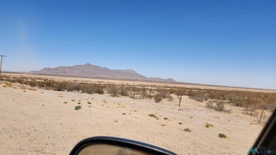 00 Columbus Hwy Hwy SE, Deming, NM 88030 - photo 4