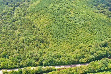 0 Mayberry Prong Rd unit 2182866, Linden, TN 37096 - photo 7