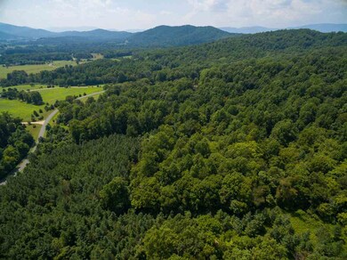 LOT 38 Blandemar Dr, Samuel Miller, VA 22903 - photo 5