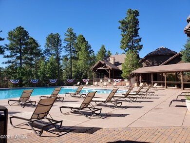 3121 Sage Ln, Show Low, AZ 85901 - photo 6