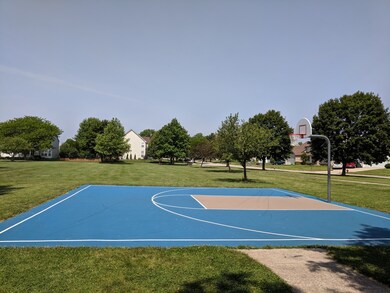 Neighborhood Amenities