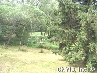 Land BACK YARD !!!