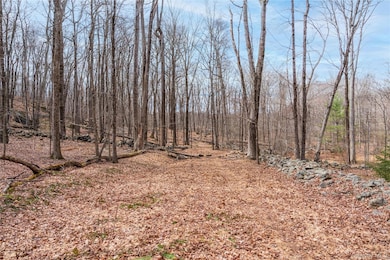 32 Joshua Hobby Ln, Pound Ridge, NY 10576 - photo 5